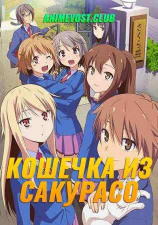 Кошечка из Сакурасо